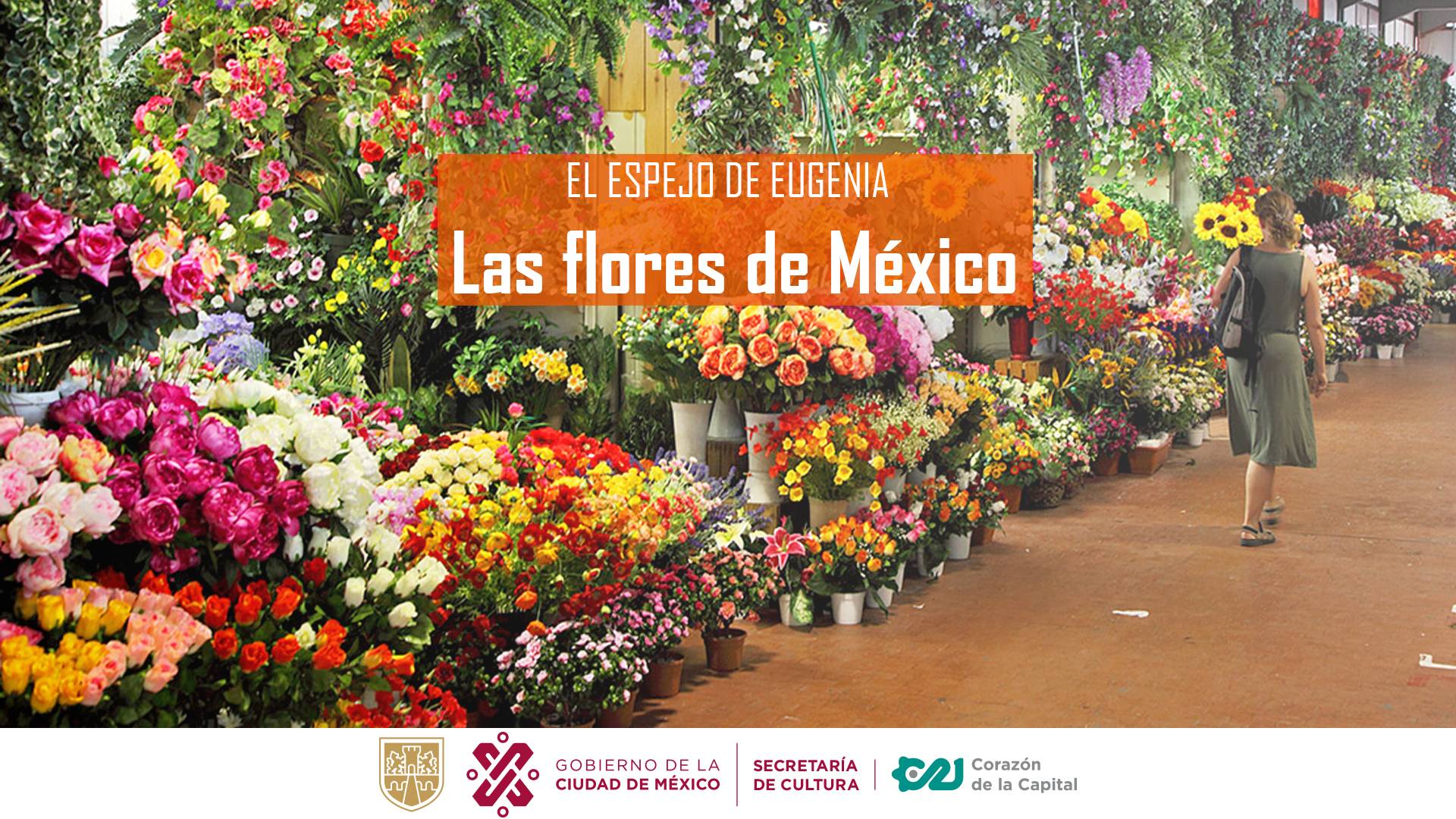 EL ESPEJO DE EUGENIA: Las flores de México y los poetas jardineros |  NOTICIAS | Capital 21